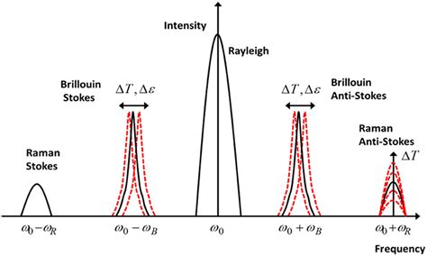 stimulated brillouin scattering|raman and brillouin scattering.